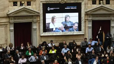 Los números para la ley ómnibus: dónde buscará los votos Milei