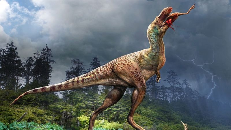 Fósiles muestran crías de dinosaurio desmembradas en el vientre de un pariente del T. Rex