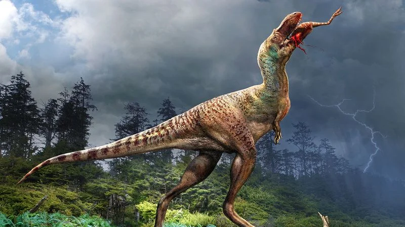 Fósiles muestran crías de dinosaurio desmembradas en el vientre de un pariente del T. Rex