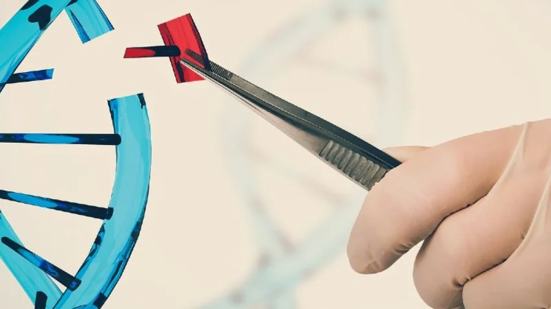 Terapia de edición genética: ¿por qué su aprobación es histórica y podría generar una revolución en medicina?