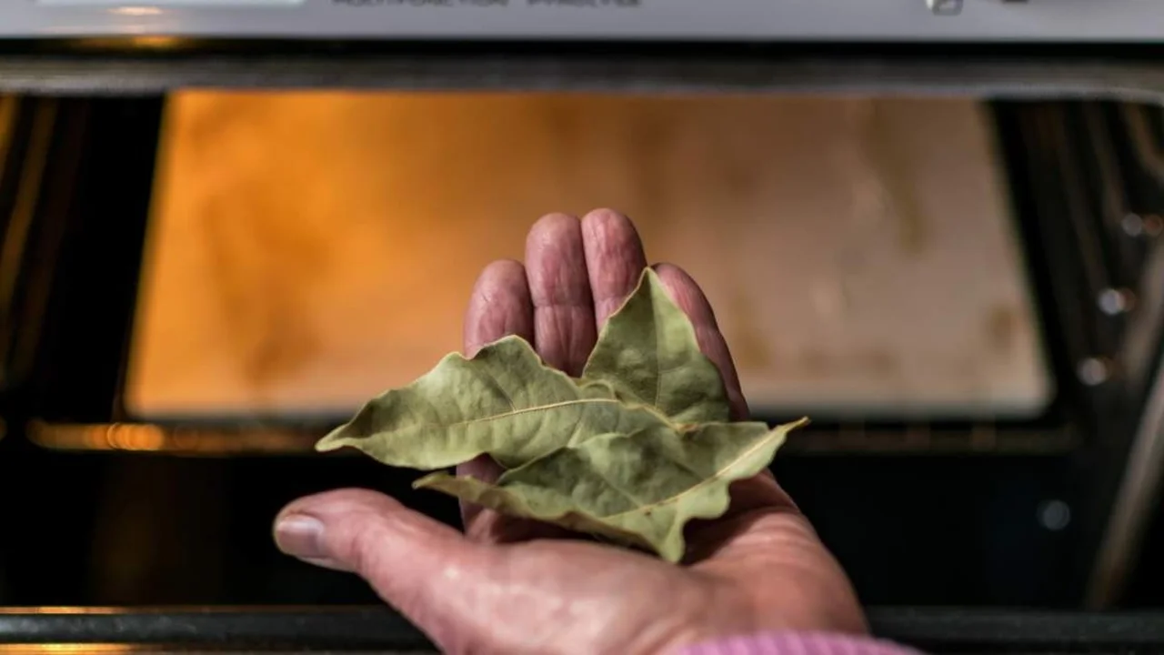Por qué poner hojas de laurel en el horno: el truco de limpieza que seguro no sabías
