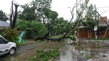 Devastador temporal en la provincia de Buenos Aires: 15 muertos