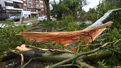Temporal en el AMBA: las fuertes lluvias provocaron destrozos y vuelos cancelados Temporal en el AMBA: las fuertes lluvias provocaron destrozos y vuelos cancelados