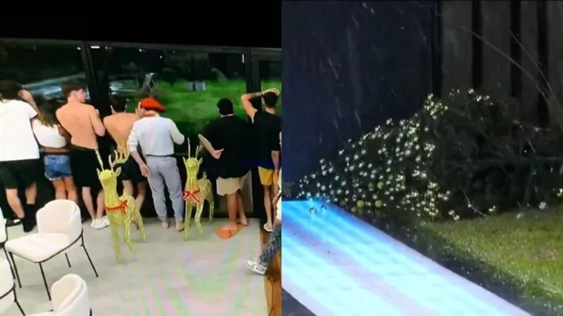 Los participantes de Gran Hermano viendo la tormenta de anoche.