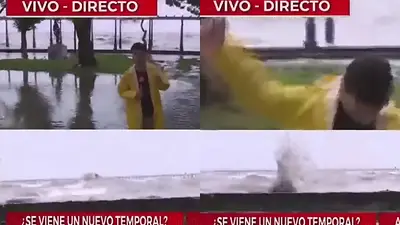 El notero de Crónica TV El notero de Crónica TV