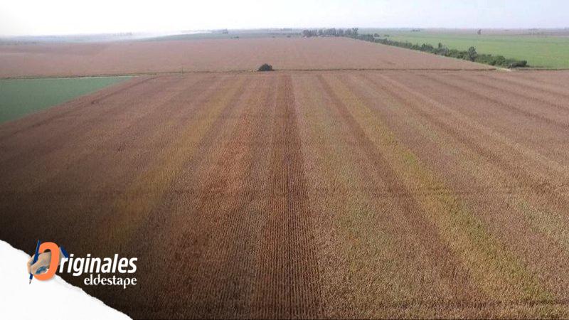 Las tierras rurales en manos extranjeras ya equivalen a 626 veces CABA