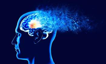 Histórico: logran revertir el Alzheimer en ratones  | Salud