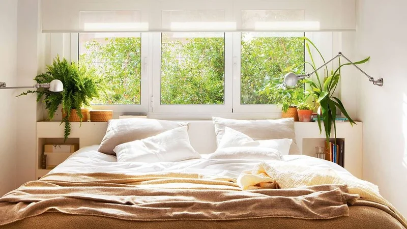 Plantas en la habitación