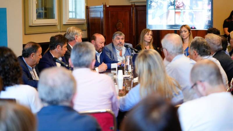 Gobernadores y legisladores de UP contra la ley ómnibus de Milei: "Inconstitucional"