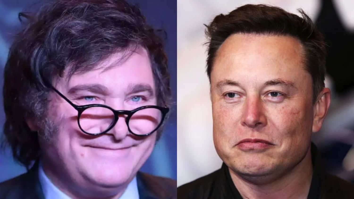 Qué se esconde detrás del meme sexual de Elon Musk sobre Javier Milei? | El  Destape