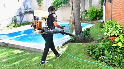 El plan estratégico y gratuito para combatir los casos de dengue El plan estratégico y gratuito para combatir los casos de dengue