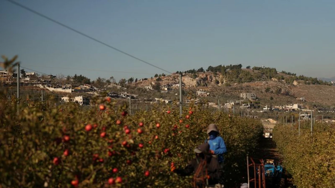 Un agricultor israelí cuyo hijo murió por un cohete libanés trabaja para restaurar su huerto