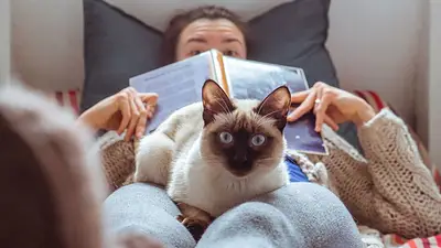 Gato y dueño Gato y dueño