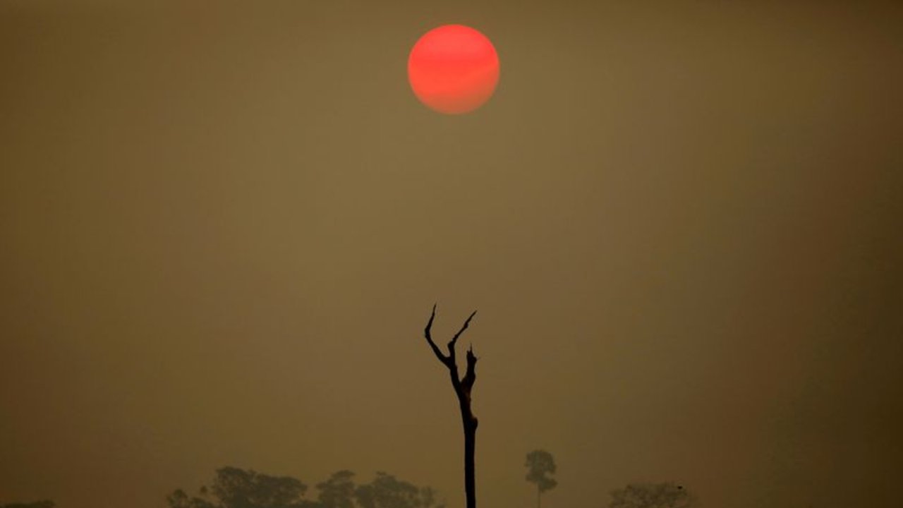 La Unión Europea acuerda retrasar la ley de deforestación pero descarta cambios