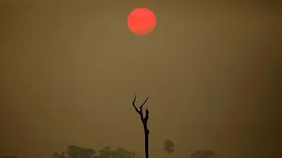 La Unión Europea acuerda retrasar la ley de deforestación pero descarta cambios La Unión Europea acuerda retrasar la ley de deforestación pero descarta cambios