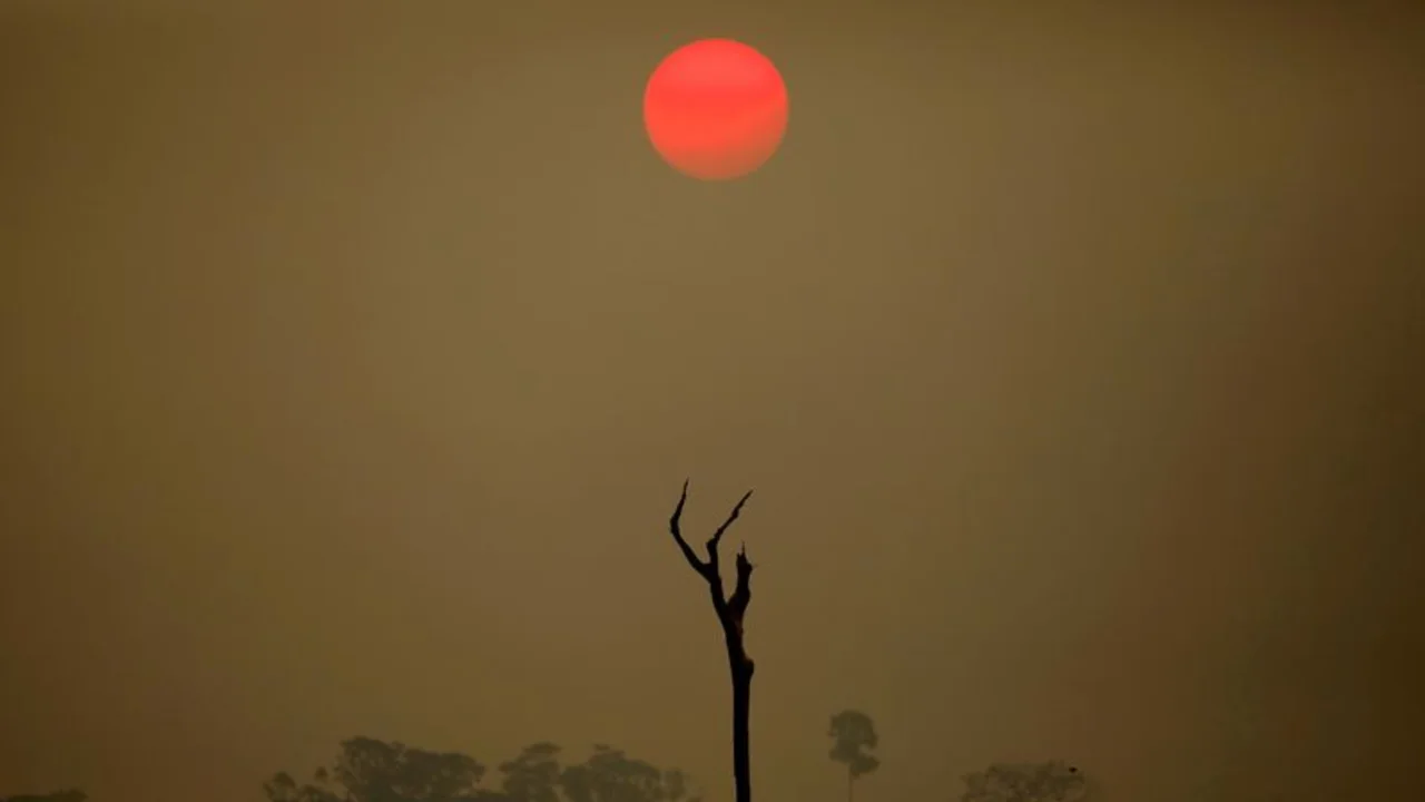 La Unión Europea acuerda retrasar la ley de deforestación pero descarta cambios