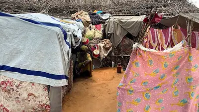 Los problemas del Programa Mundial de Alimentos de la ONU en Sudán alejan a los donantes Los problemas del Programa Mundial de Alimentos de la ONU en Sudán alejan a los donantes