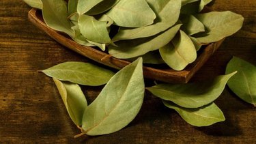 Hojas de laurel: el amuleto natural que activa la abundancia en tu hogar