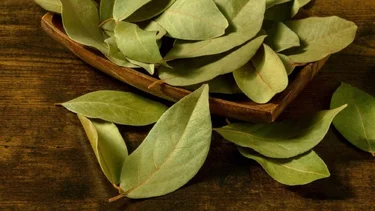 Hojas de laurel: el amuleto natural que activa la abundancia en tu hogar