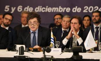 Mercosur: los límites y los desafíos para Milei | Mercosur