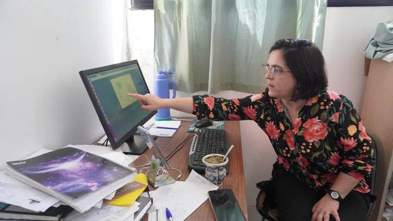 Científicos argentinos detectaron una mutación en los mosquitos que los hace inmunes a fumigaciones