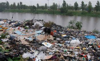 Ecoambientalismo en la Era Milei: ¿Globalizado o popular? | Medio ambiente