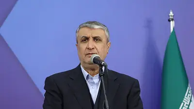 Irán no impedirá el acceso del OIEA, dice jefe de organización atómica iraní Irán no impedirá el acceso del OIEA, dice jefe de organización atómica iraní