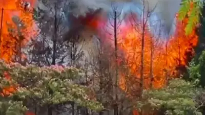 Feroz incendio en el Campo de Golf de Palermo Feroz incendio en el Campo de Golf de Palermo