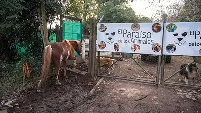 El Paraíso de los Animales. El Paraíso de los Animales.
