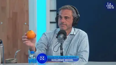 Una naranja, una gaseosa, un agua y un país de África: los ejemplos que usó este ex funcionario de Sergio Massa para advertir por el dólar Una naranja, una gaseosa, un agua y un país de África: los ejemplos que usó este ex funcionario de Sergio Massa para advertir por el dólar