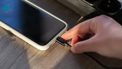 Celular Celular