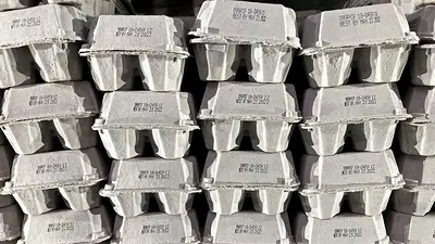 La gripe aviar eleva el precio de los huevos en EEUU a máximos históricos antes de Navidad La gripe aviar eleva el precio de los huevos en EEUU a máximos históricos antes de Navidad