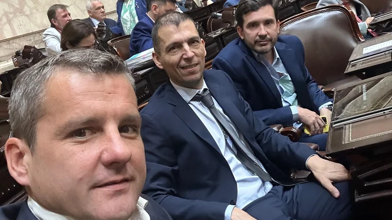 Insólito: uno de los "radicales con peluca" comparó a Javier Milei con Alfonsín