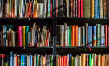 Los 7 mejores libros del 2024 | Libros