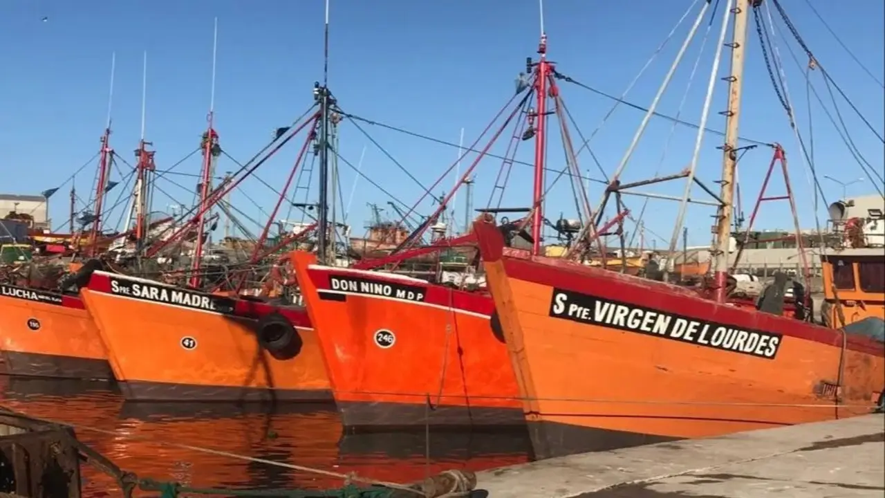 Con los rechazos a los decretos de Milei en Diputados, la marina mercante sigue a flote 