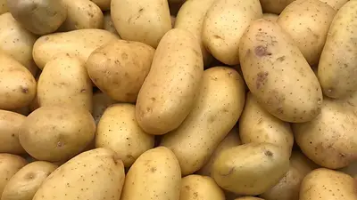 Papas Papas