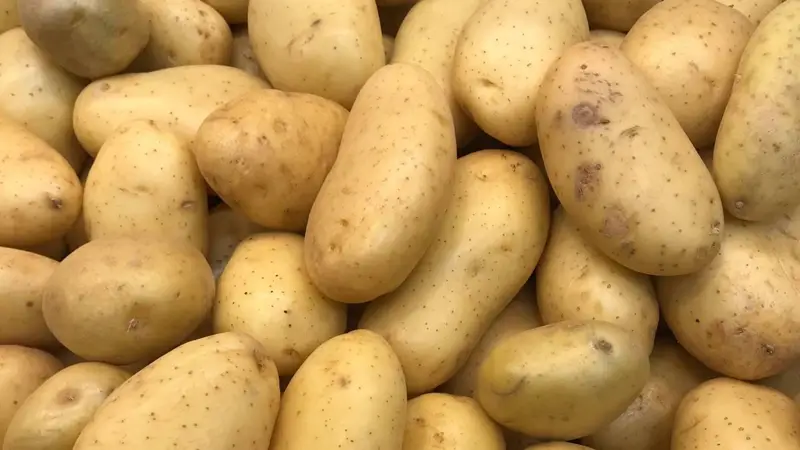 Papas