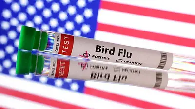 El virus de la gripe aviar muestra mutaciones en el primer caso humano grave en EEUU, según los CDC El virus de la gripe aviar muestra mutaciones en el primer caso humano grave en EEUU, según los CDC