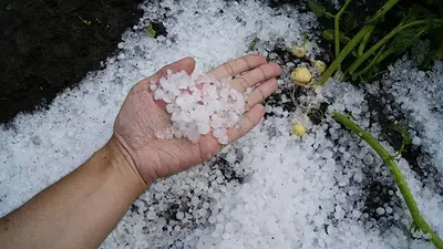 Alerta meteorológica AMBA, caída de granizo, granizo Buenos Aires, tormentas fuertes. Alerta meteorológica AMBA, caída de granizo, granizo Buenos Aires, tormentas fuertes.