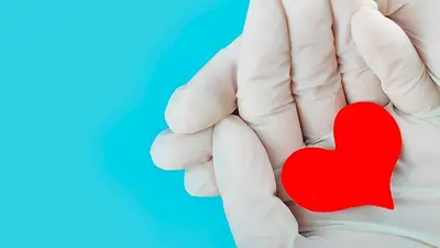 Formosa superó los 300 trasplantes y se consolida como referente nacional en salud pública: los detalles de su evolución Formosa superó los 300 trasplantes y se consolida como referente nacional en salud pública: los detalles de su evolución