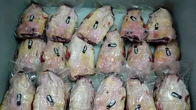 España intenta limitar los daños a exportaciones tras ocho nuevos casos sospechosos de peste porcina España intenta limitar los daños a exportaciones tras ocho nuevos casos sospechosos de peste porcina