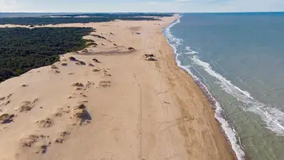 Cuál es el destino con una playa metida en medio del bosque. Qué hacer en La Gaviotas. Cómo llegar a Las Gaviotas. Cuál es el destino con una playa metida en medio del bosque. Qué hacer en La Gaviotas. Cómo llegar a Las Gaviotas.