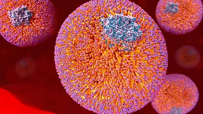 La partícula que debe ser medida al menos una vez en la vida para prevenir infartos y ACVs La partícula que debe ser medida al menos una vez en la vida para prevenir infartos y ACVs