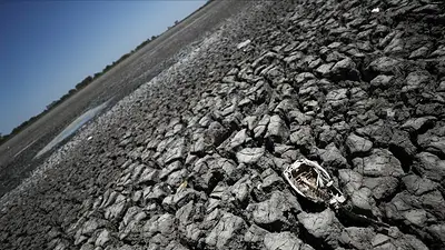 La Organización Meteorológica Mundial predice una débil La Niña La Organización Meteorológica Mundial predice una débil La Niña