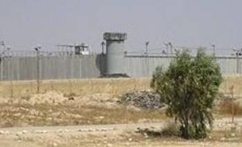 Abogados israelíes denunciaron que los presos palestinos sufren "hambre severo" | Conflicto en medio oriente