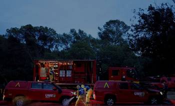 España investiga si el brote de peste porcina fue causado por una filtración de un laboratorio | España