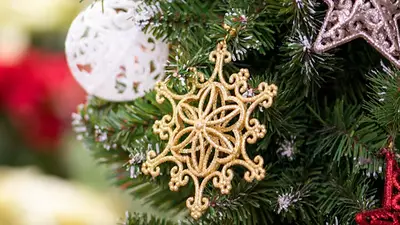 Cuándo se arma el arbolito de Navidad. Cuándo se arma el arbolito de Navidad.