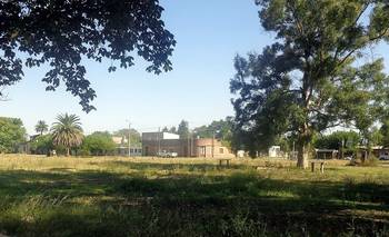 Dónde queda y qué hacer en Doyle: el pueblito que queda a 2 horas de CABA | Escapadas