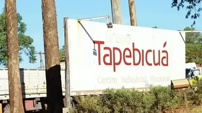 Corrientes: 430 operarios de una forestadora quedaron sin convenio y rechazan cobrar el 60% de su sueldo Corrientes: 430 operarios de una forestadora quedaron sin convenio y rechazan cobrar el 60% de su sueldo