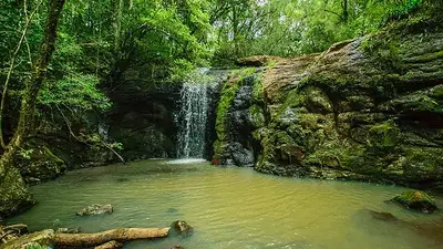 Cascada Cascada